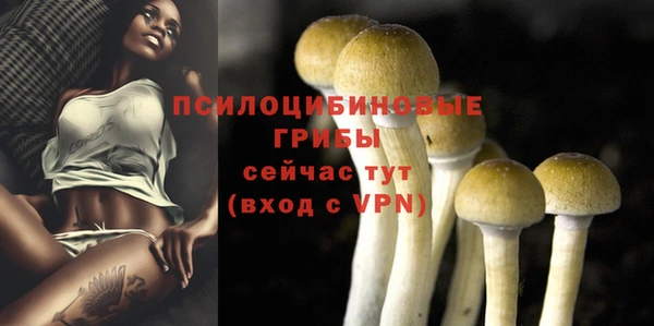 каннабис Бородино