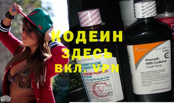 ГАЛЛЮЦИНОГЕННЫЕ ГРИБЫ Слюдянка