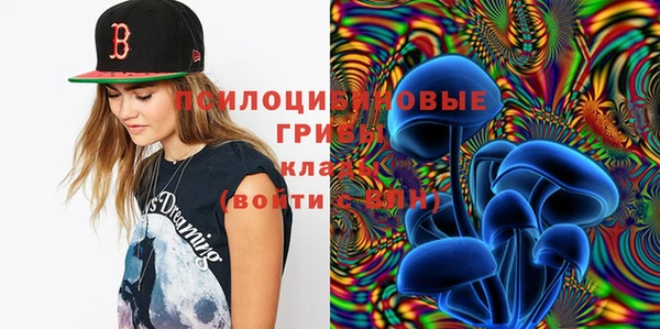 винт Снежногорск