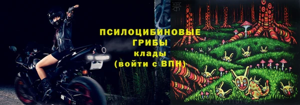 гидра Снежинск