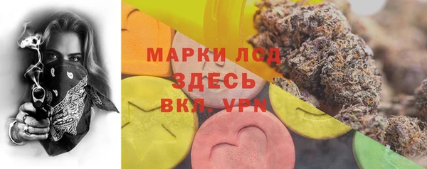 ГАЛЛЮЦИНОГЕННЫЕ ГРИБЫ Слюдянка