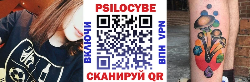 магазин продажи наркотиков  Красногорск  Псилоцибиновые грибы Psilocybe 